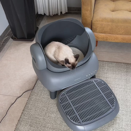 Neakasa M1 Open-Top Automatic Self-Cleaning Cat Litter Box shown in a modern home setting. The litter box features a spacious open-top layout designed to help cats feel comfortable while maintaining a low-stress environment. The design includes a sealed waste compartment for strong odor control and a quiet automated cleaning cycle that helps reduce daily scooping. The unit connects to a mobile app for usage tracking, cleaning reports, and reminders. Suitable for one or multiple cats, this automatic litter b