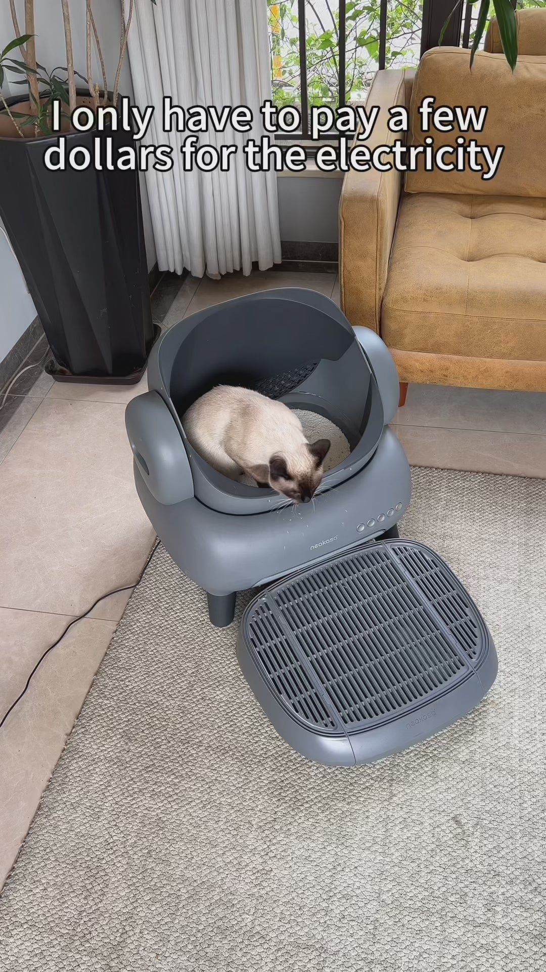 Neakasa M1 Open-Top Automatic Self-Cleaning Cat Litter Box shown in a modern home setting. The litter box features a spacious open-top layout designed to help cats feel comfortable while maintaining a low-stress environment. The design includes a sealed waste compartment for strong odor control and a quiet automated cleaning cycle that helps reduce daily scooping. The unit connects to a mobile app for usage tracking, cleaning reports, and reminders. Suitable for one or multiple cats, this automatic litter b